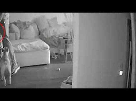 Dramatic Moment Naked Model Confronts Armed Robber At Her Home What A Fate YouTube