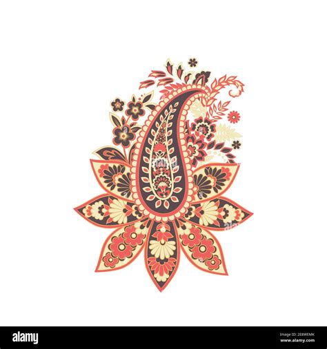 paisley vector isolated pattern floral vintage illustration stock