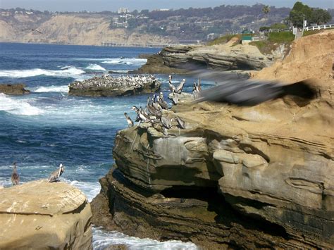 Coastal California National Monument which covers the entire coast of California. Photography by ...