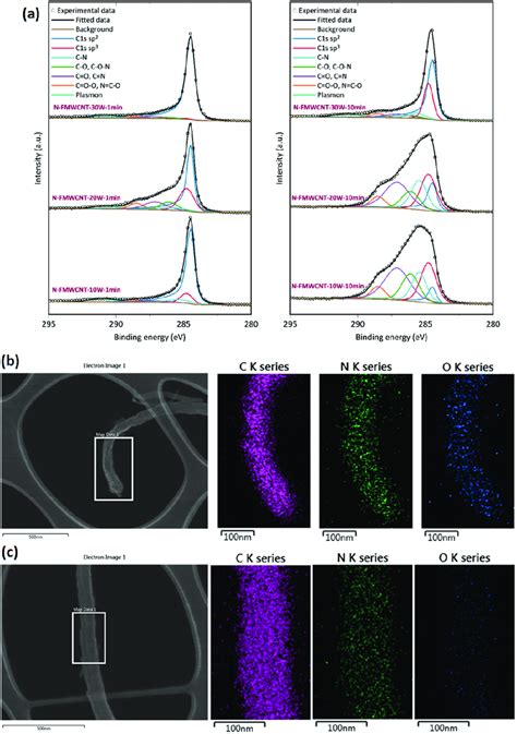 A Deconvoluted Xps Spectra Of C S For N Fmwcnt Stem Image And Eds