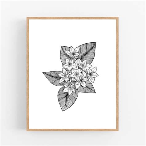 Mayflower Flower Ink Sketch Print / Massachusetts State Flower Printable / Art / Digital ...