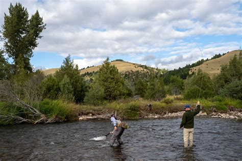 The Meadows On Rock Creek Rock Creek Fly Fishing Yellow Dog Flyfishing