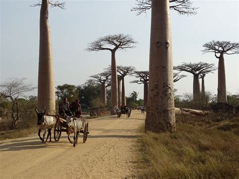 Madagascar - Village Monde