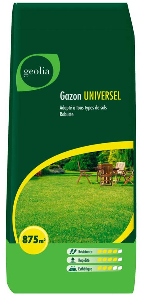Gazon universel GEOLIA, 25 kg, 875 m² | Leroy Merlin