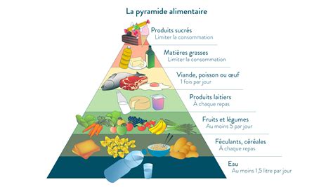 Pyramide Des Besoins Alimentaires Mincir