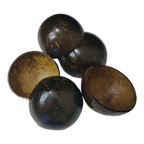 Ez Farmland Polished Coconut Shell Available In Sizes Decorative