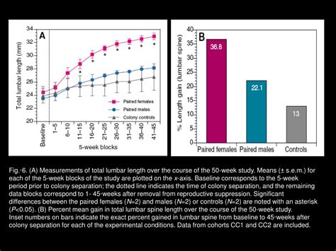PPT Unusual Reproductive Patterns In Naked Mole Rats Insights On Eusocial Behavior And