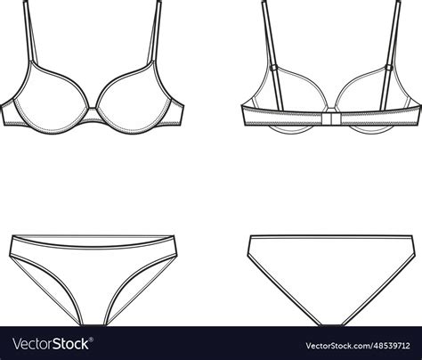 Womens Lingerie Bra And Panties Royalty Free Vector Image