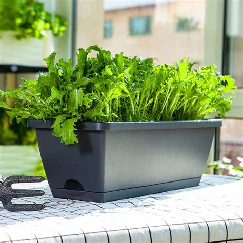 6 Amazing Self Watering Vegetable Planters A Garden Diary