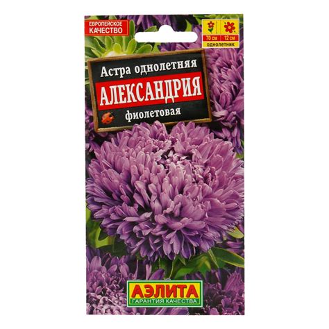 "Аэлита" Семена Астра Александрия фиолетовая купить за 35,00 ₽ в ...