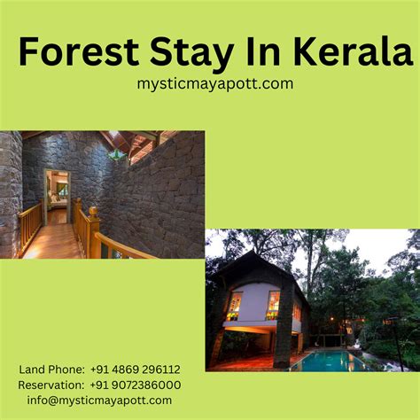 Forest Stay In Kerala Aleena Shibu Medium