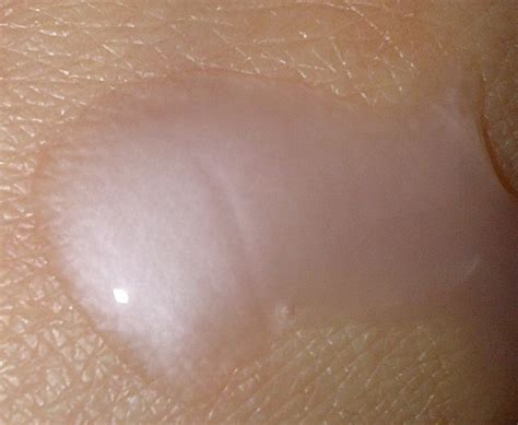 BeautySwot Ooh La La Naked Coco De Mer Body Wash Review