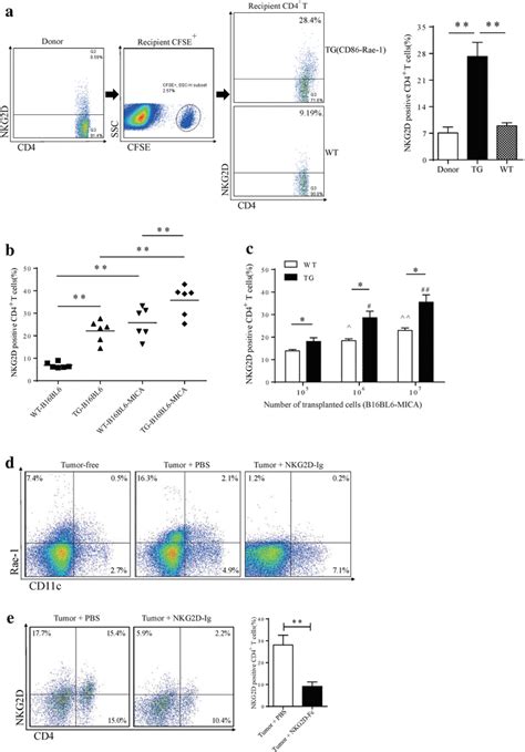 Induction Of Nk1 1⁻cd4⁺nkg2d⁺t Cells By Nkg2dl⁺ Cells In Vivo A Sorted Download Scientific