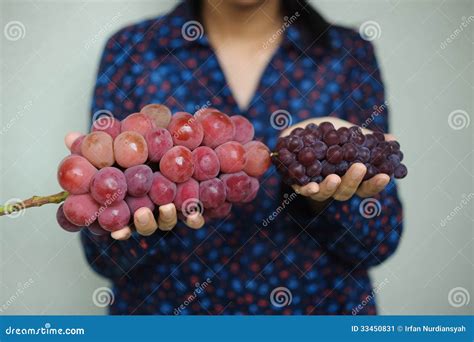Big And Small Japanese Grapes Stock Image Image 33450831