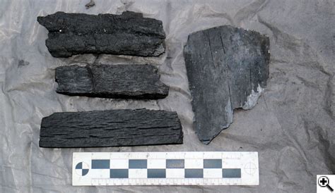 Review Of Big Green Egg Lump Charcoal Naked Whiz Ceramic Charcoal Cooking