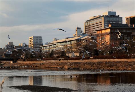 Ритц-Карлтон в Киото, Киото (The Ritz-Carlton, Kyoto)