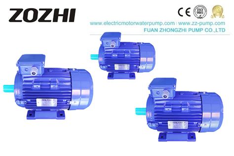 Premium Efficiency Ie Three Phase Asynchronous Motor