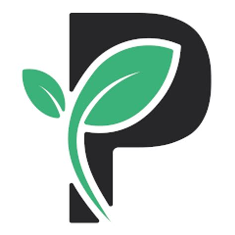 primer  passive investing passiv