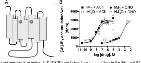 neuronal signal transduction | Semantic Scholar