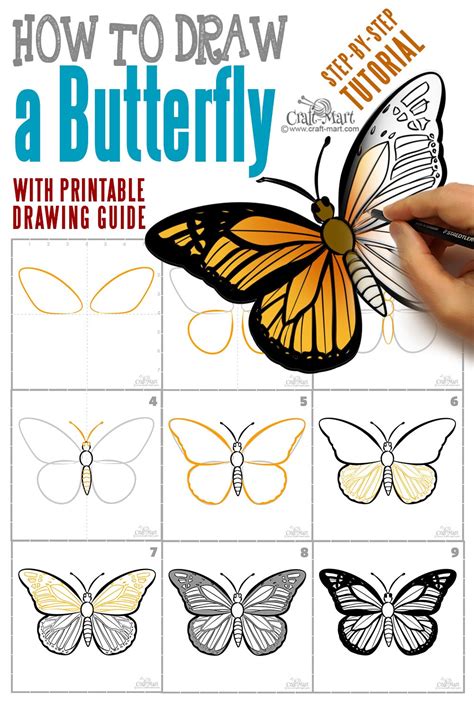 How to draw a butterfly step by step easy and fast - Craft-Mart