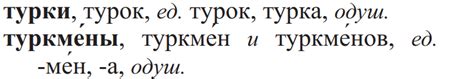 Турок или турков: как правильно - Буква «Ё»