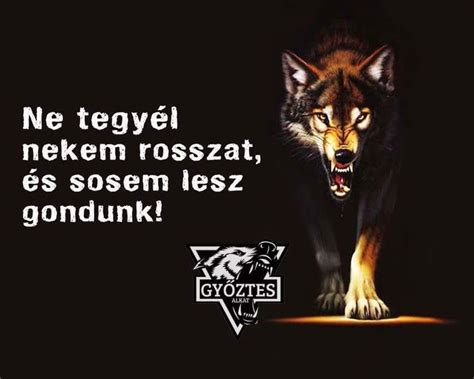 Pin di Zoltán Wolf su Bölcs idézetek