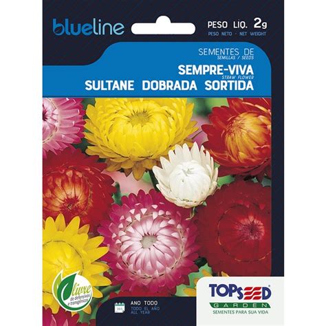 Sebo Sempre Viva - Sementes de Sempre Viva Sultane Dobrada Sortida 2 Gramas Flores Jardins ...