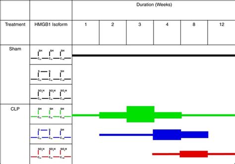 Mass Spectrometric Analysis Of The Redox Status Of The Three Cysteines