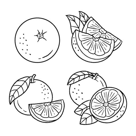 Orange Outline Illustration Images Free Download On Freepik