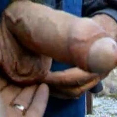 Sexy Grandpa Outside Ii Free Gay Fat Porn 90 XHamster XHamster