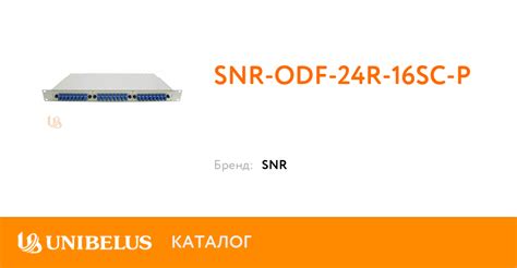 SNR-ODF-24R-16SC-P K65463 от Поставщика года в Минске.
