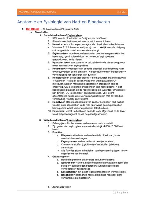 Samenvatting Anatomie Deel Anatomie En Fysiologie Van Hart En