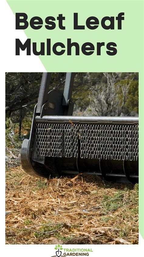 Best Leaf Mulchers Traditional Gardening