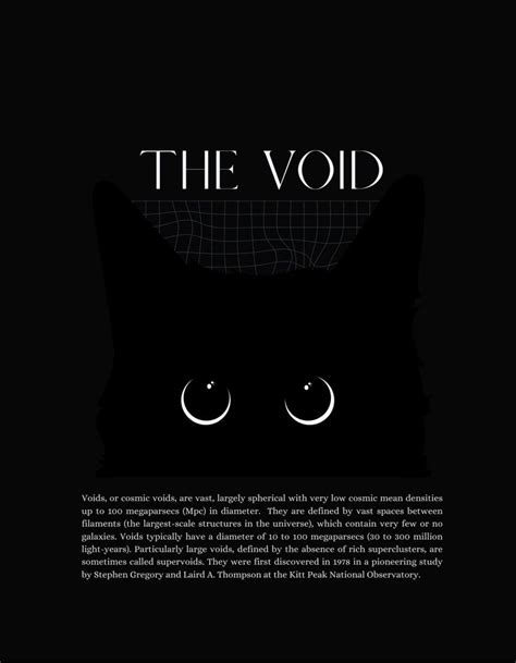 a black cat with two eyes and the words, the void