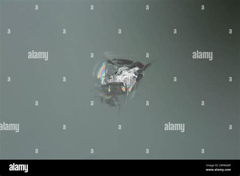 Windscreen Car Chipped Hi Res Stock Photography And Images Alamy
