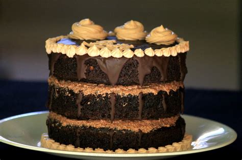 Triple Layer Eggless Chocolate Naked Cake Fourth Wedding Anniversary