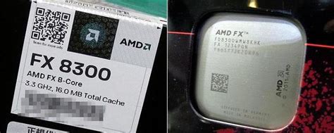 Процессор AMD FX-8300: характеристики, отзывы :: SYL.ru