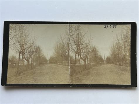 Germany Park Photo Stereo Amateur Vintage P L N EBay Australia