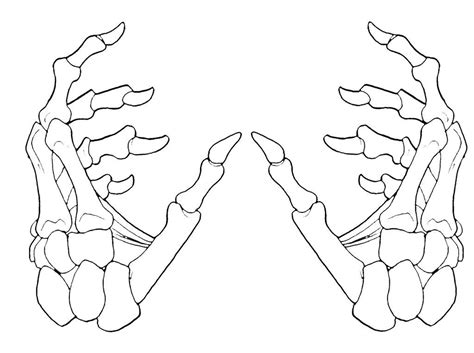 Skeleton Hand Holding Drawing