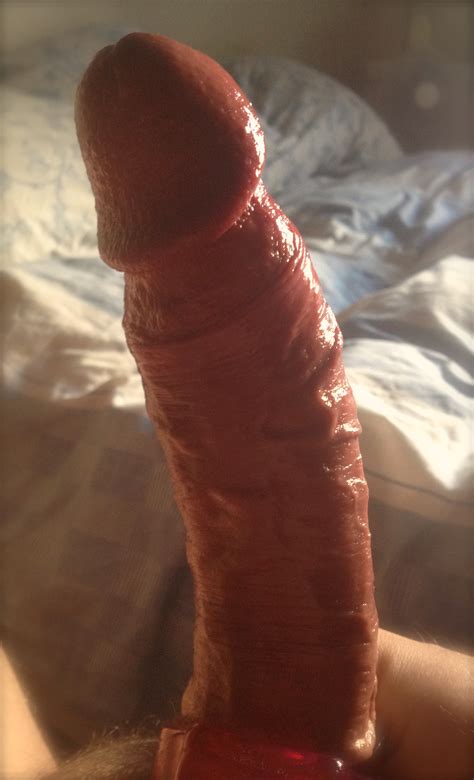 Lubed Up Hard Cock Pic Sex