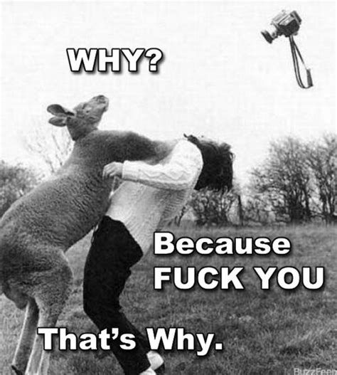 Imma Wallop Ya Why Because Fuck You That S Why Know Your Meme