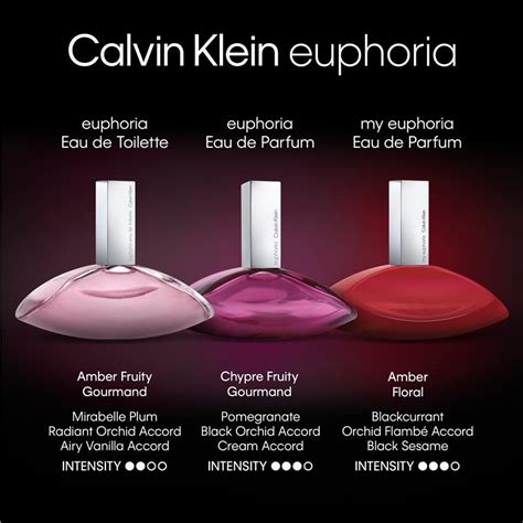 Buy Calvin Klein Euphoria For Women Eau de Toilette 100ml Online at ...