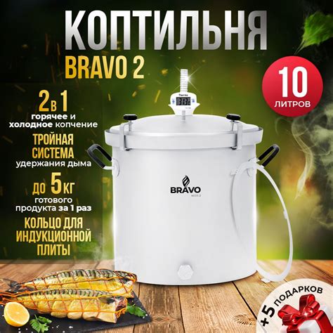 Коптильня домашняя Bravo 2-10 л для горячего и холодного копчения с ...