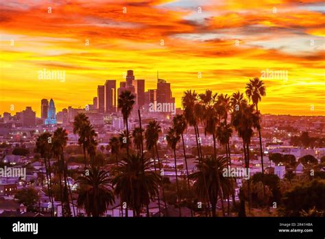 Los Angeles Usa 4 November 2022 Blick Auf Downtown Los Angeles Skyline Mit Palmen Zum