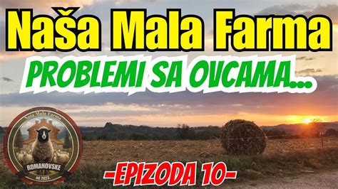 Nasa Mala Farma Problemi Sa Ovcama Epizoda 10 YouTube