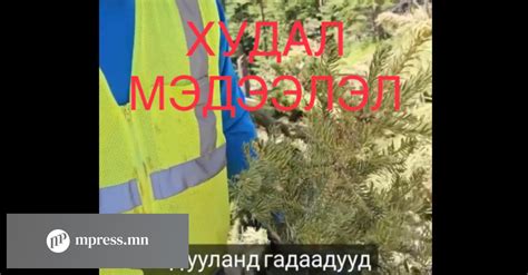 Гадаадын иргэд Богд ууланд бус АНУ-д барилга барьж байжээ