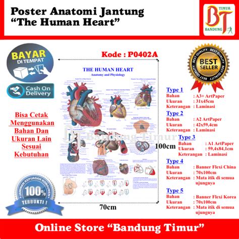 jual poster anatomi jantung  human heart shopee indonesia