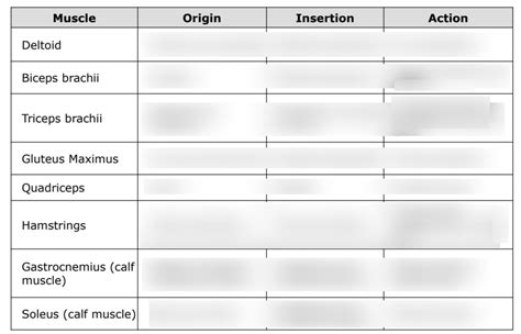 Chart Diagram Quizlet