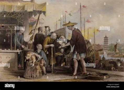 China Merchants And Science
