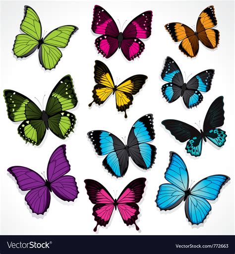 Set Of Colorful Butterflies Royalty Free Vector Image